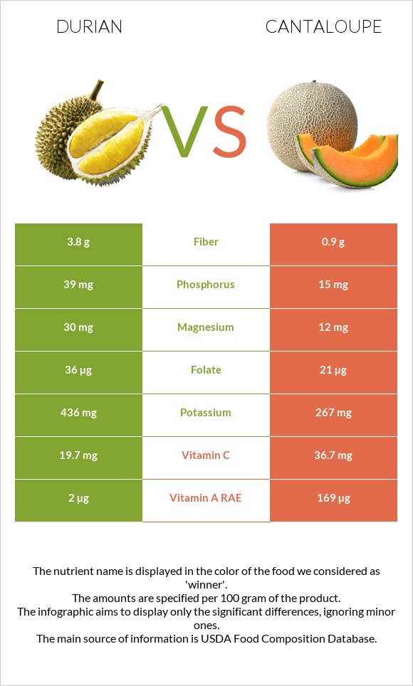 Durian vs Cantaloupe infographic