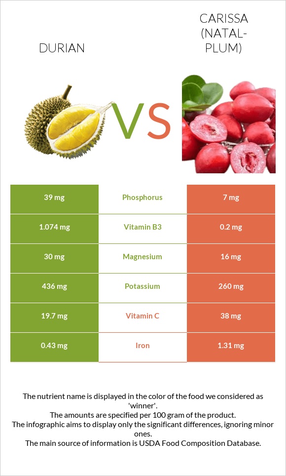 Durian vs Carissa (natal-plum) infographic