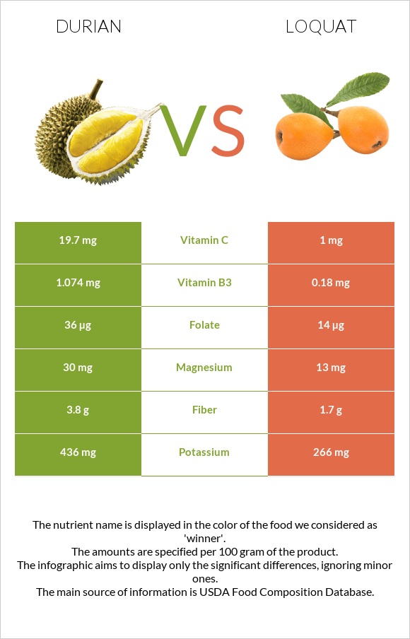 Durian vs Loquat infographic