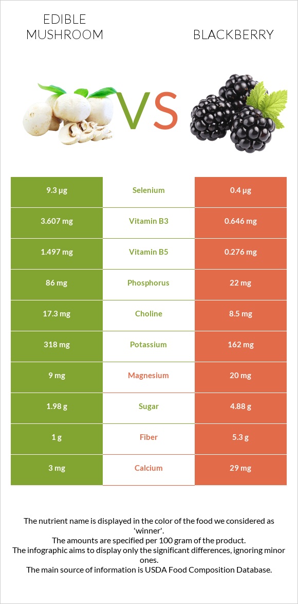 Edible mushroom vs Blackberry infographic