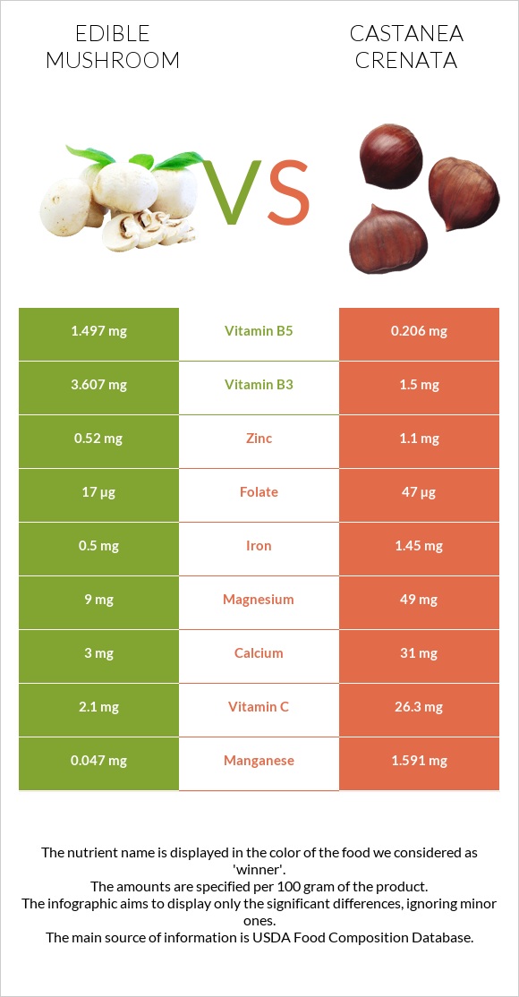 Edible mushroom vs Castanea crenata infographic