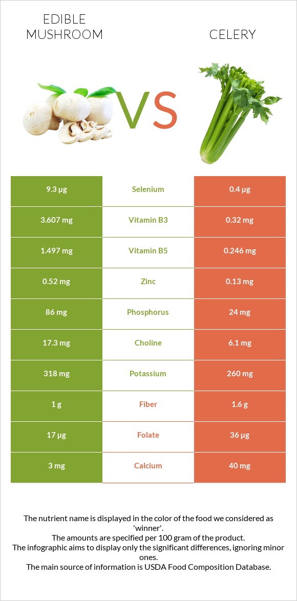 Edible mushroom vs Celery infographic