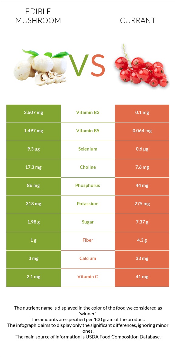 Edible mushroom vs Currant infographic