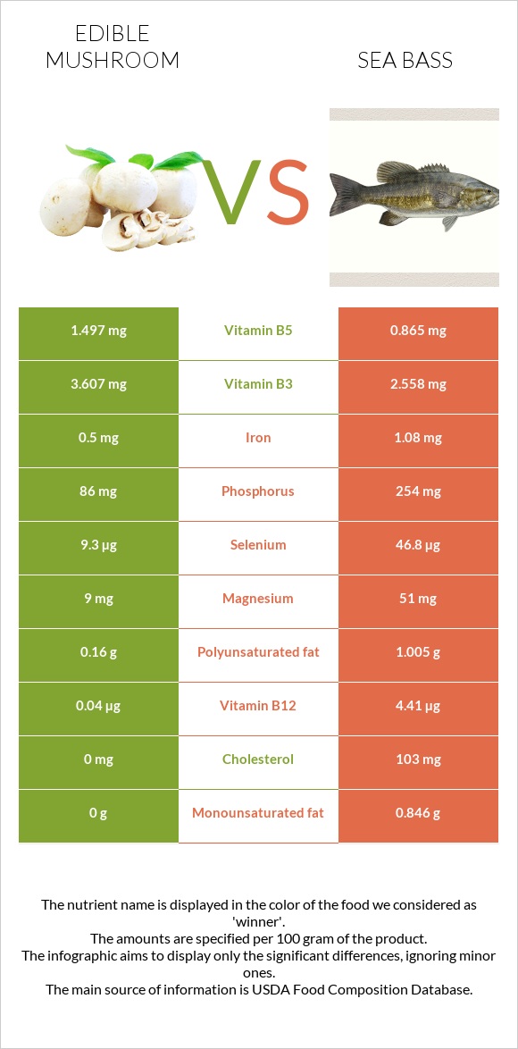 Edible mushroom vs Sea bass infographic