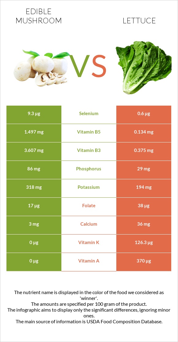 Edible mushroom vs Lettuce infographic