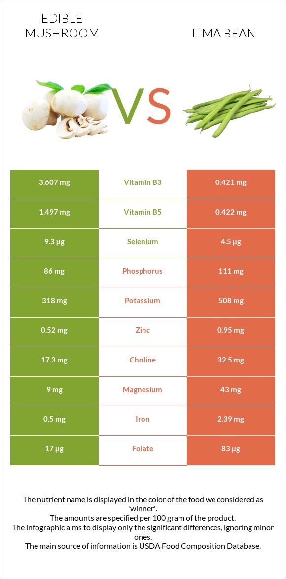 Edible mushroom vs Lima bean infographic