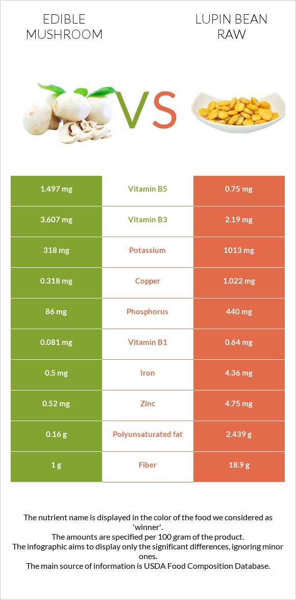 Սունկ vs Լոբի լուպին հում infographic