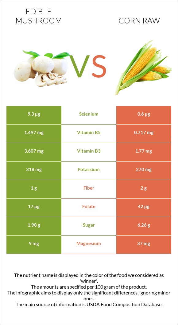 Edible mushroom vs Corn raw infographic