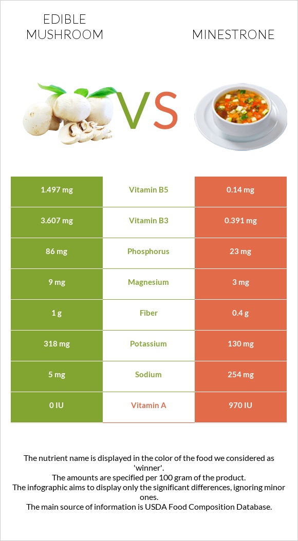 Edible mushroom vs Minestrone infographic
