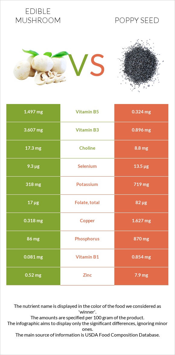 Edible mushroom vs Poppy seed infographic