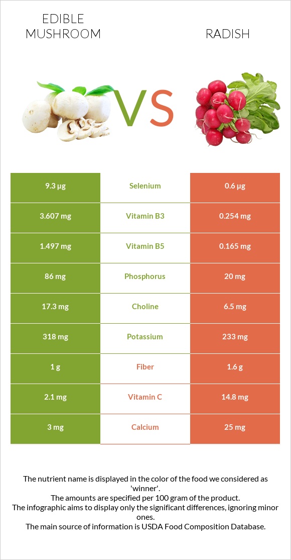 Edible mushroom vs Radish infographic