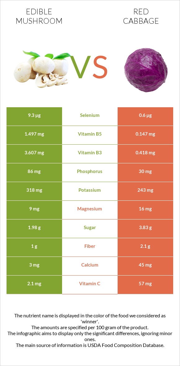 Edible mushroom vs Red cabbage infographic