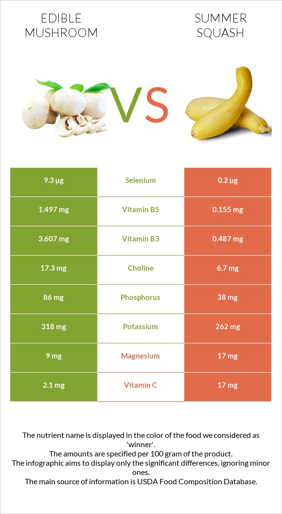 Edible mushroom vs Summer squash infographic