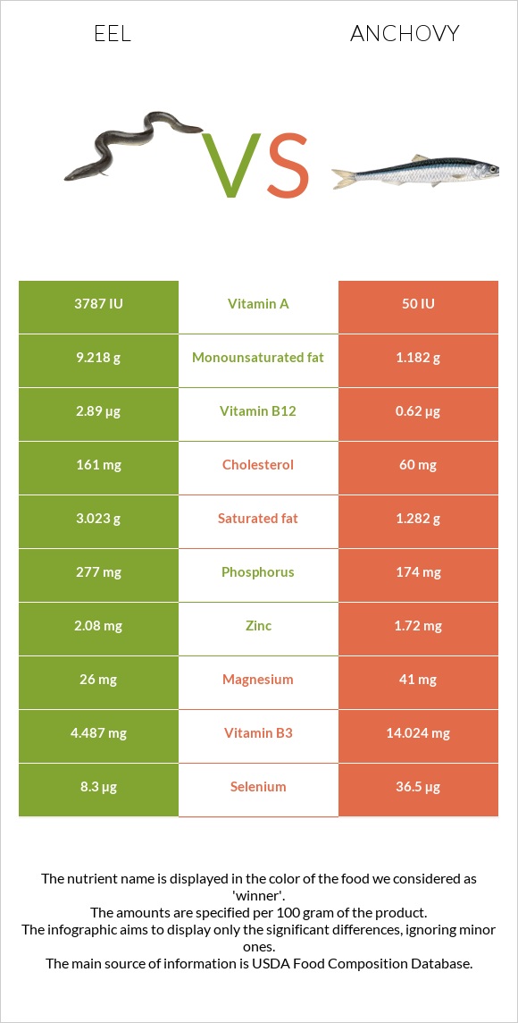 Eel vs Anchovy infographic