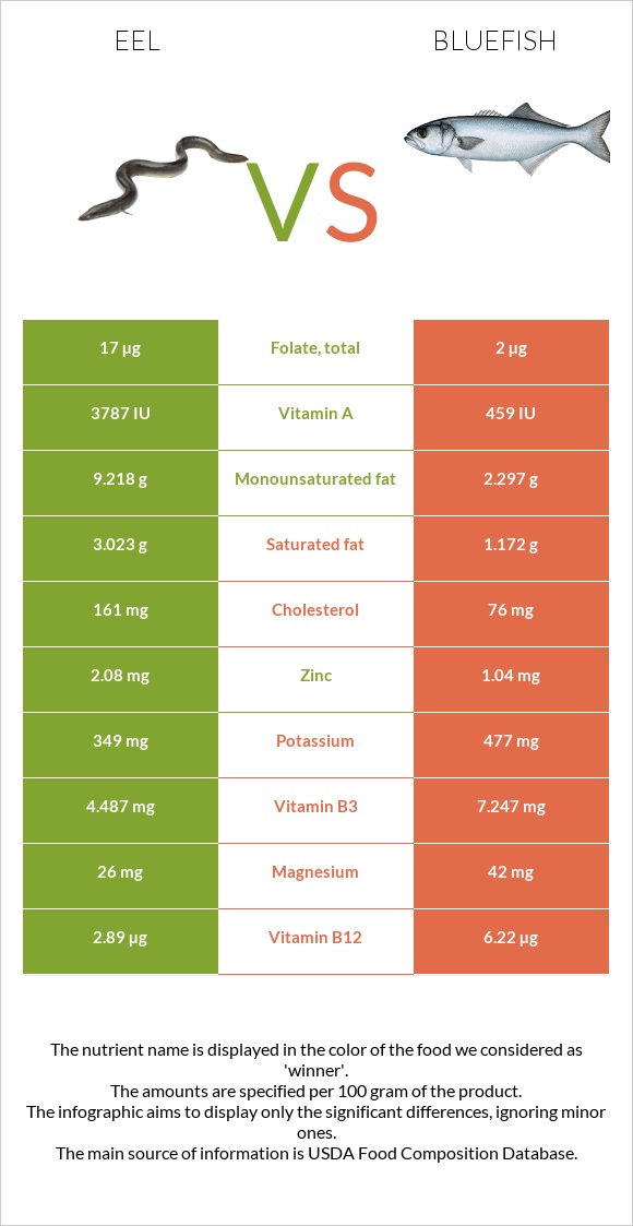 Eel vs Bluefish infographic