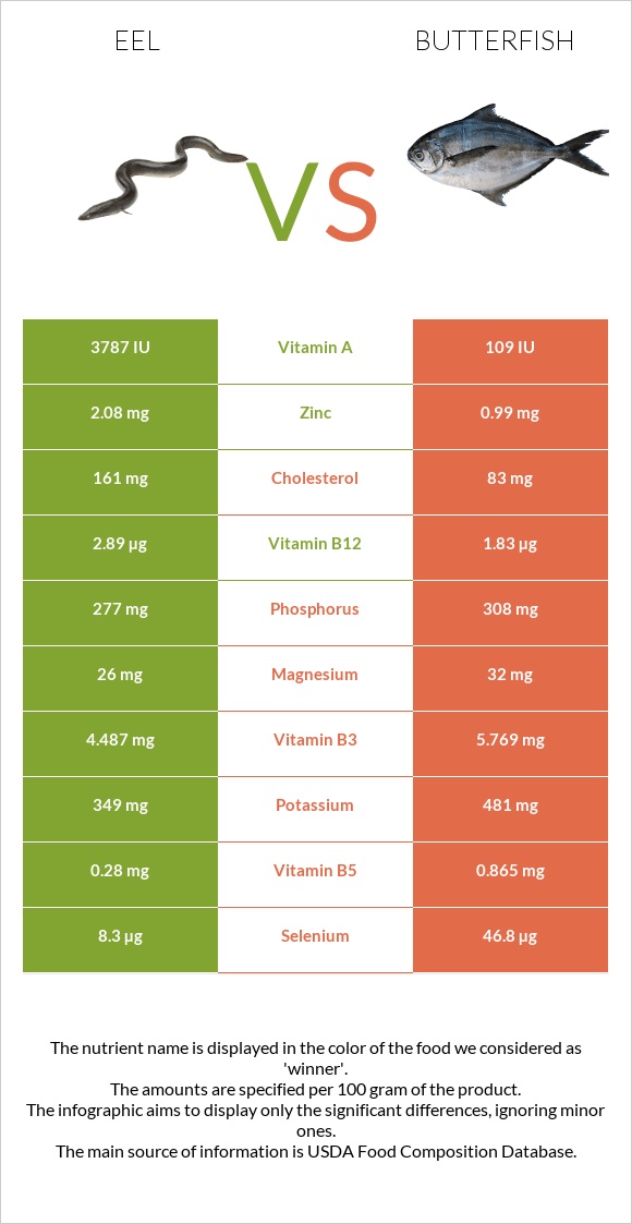 Eel vs Butterfish infographic