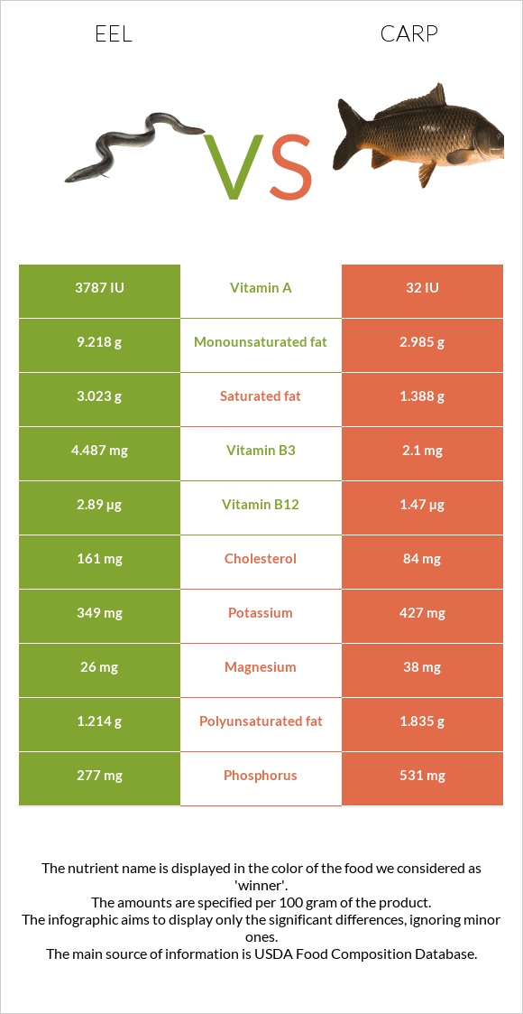 Eel vs Carp infographic