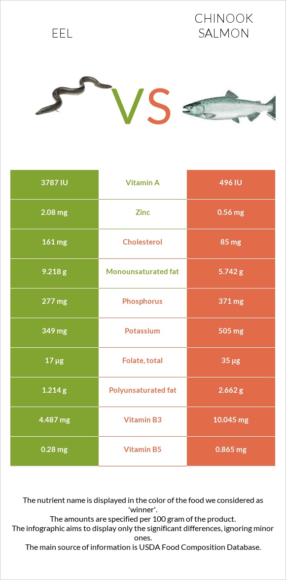 Eel vs Chinook salmon infographic