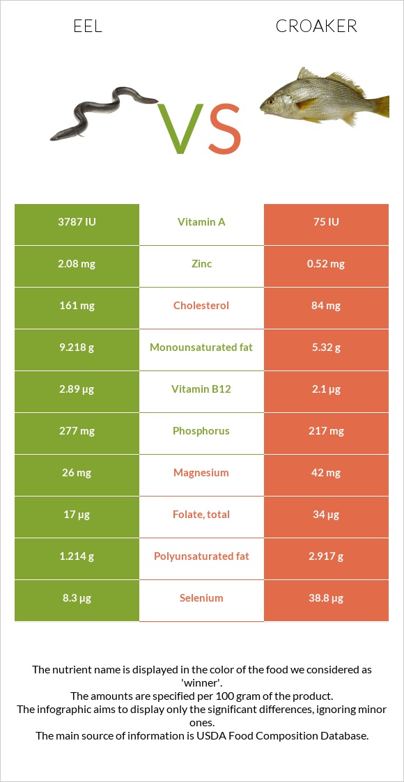 Eel vs Croaker infographic