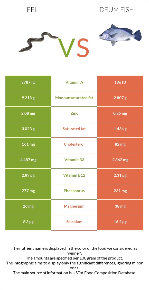 Eel vs Drum fish infographic