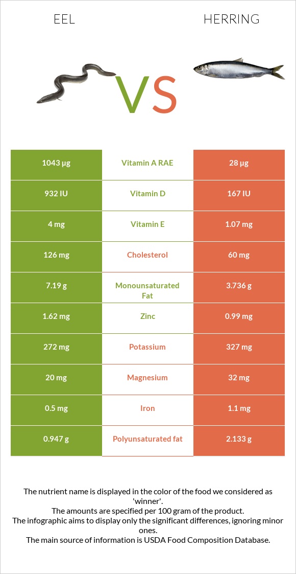 Eel vs Herring infographic