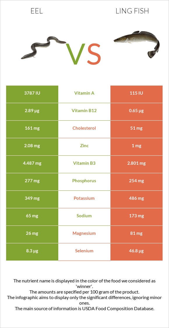 Eel vs Ling fish infographic