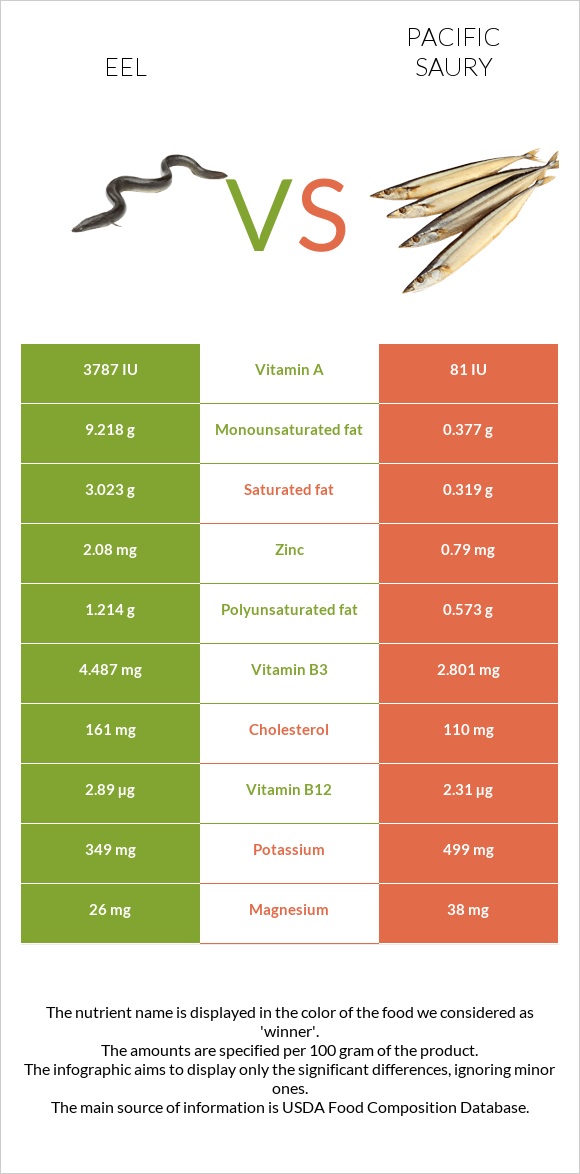 Eel vs Pacific saury infographic