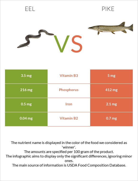Eel vs Pike infographic