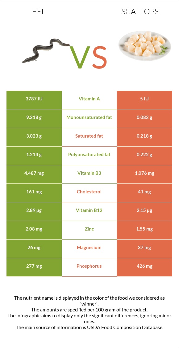 Eel vs Scallop infographic