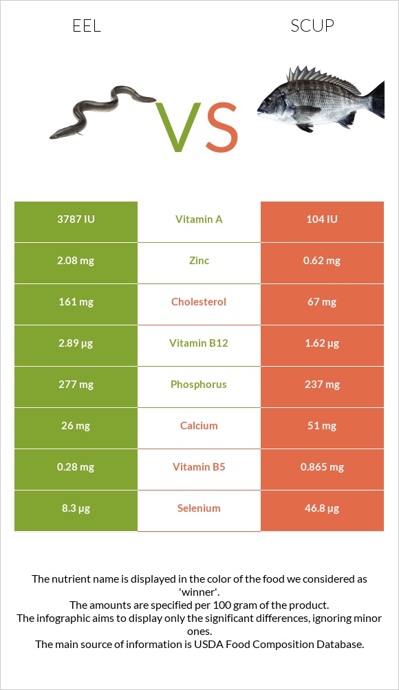 Eel vs Scup infographic