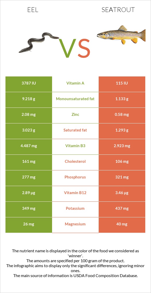 Eel vs Seatrout infographic