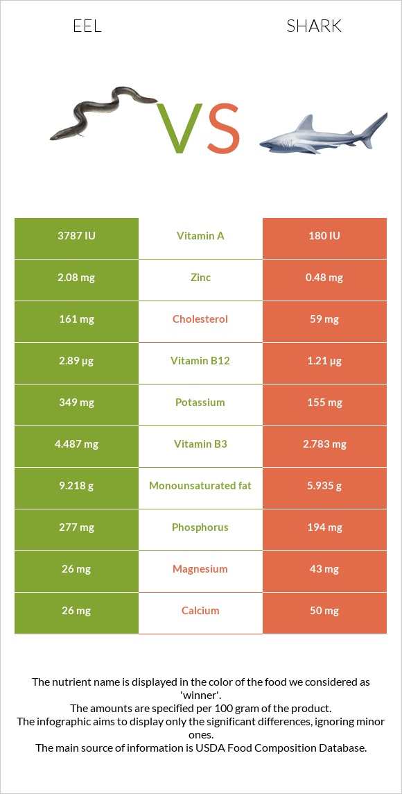 Eel vs Շնաձկներ infographic