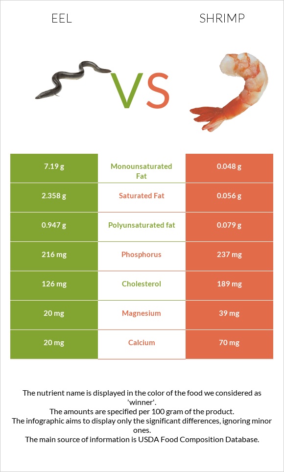 Eel vs Մանր ծովախեցգետին infographic