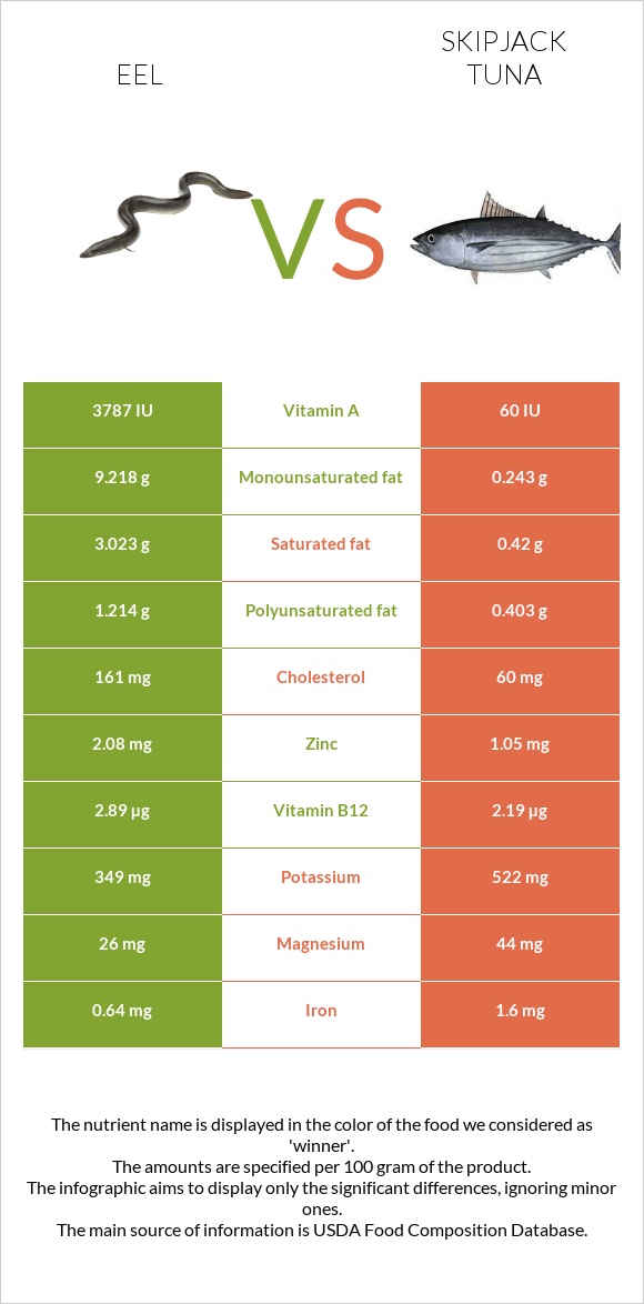 Eel vs Skipjack tuna infographic