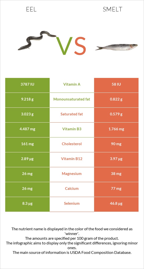 Eel vs Smelt infographic