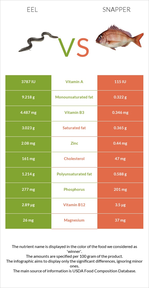 Eel vs Snapper infographic