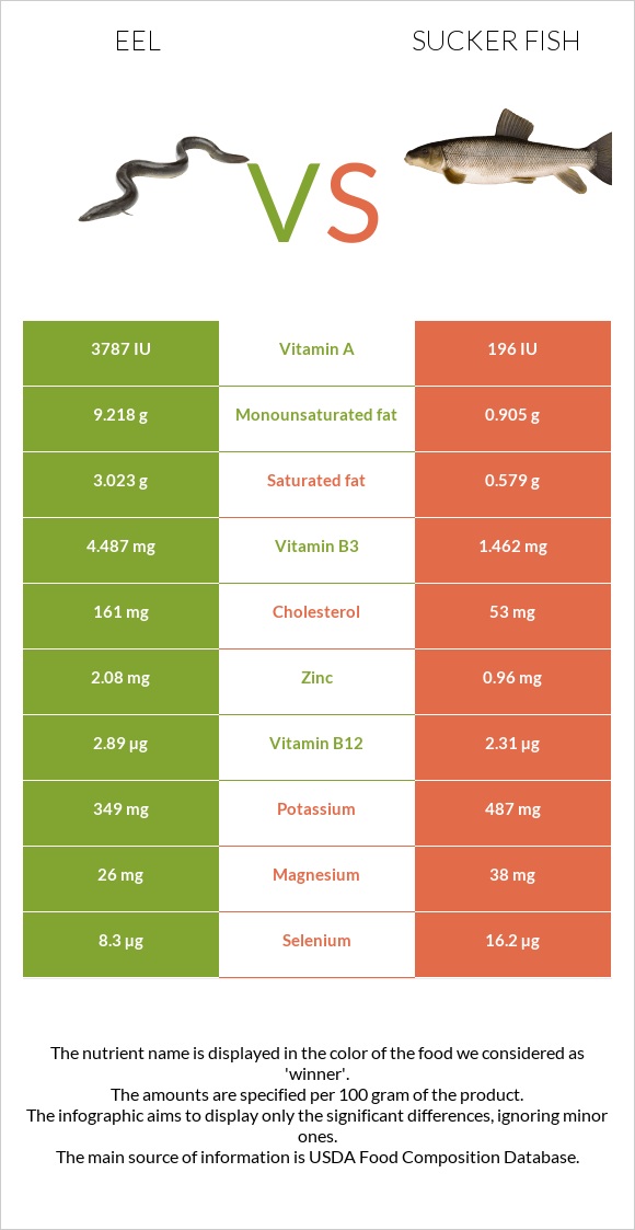 Eel vs Sucker fish infographic