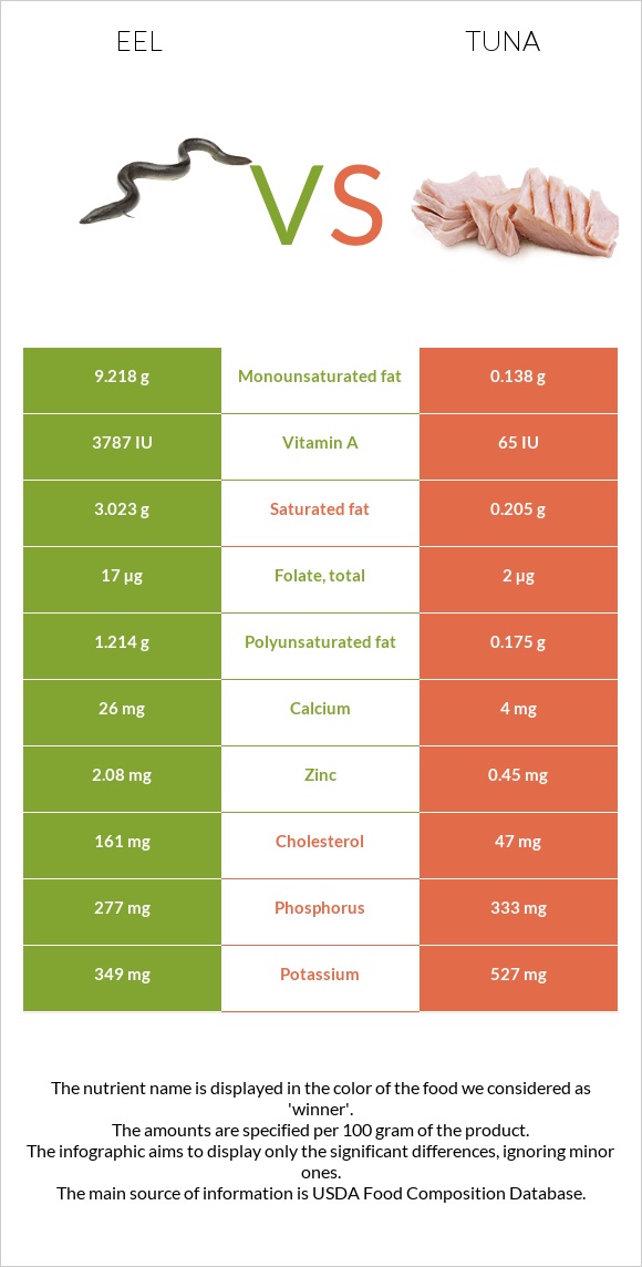 Eel vs Tuna infographic