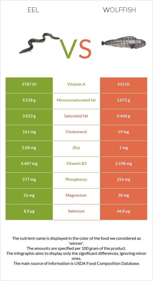 Eel vs Wolffish infographic