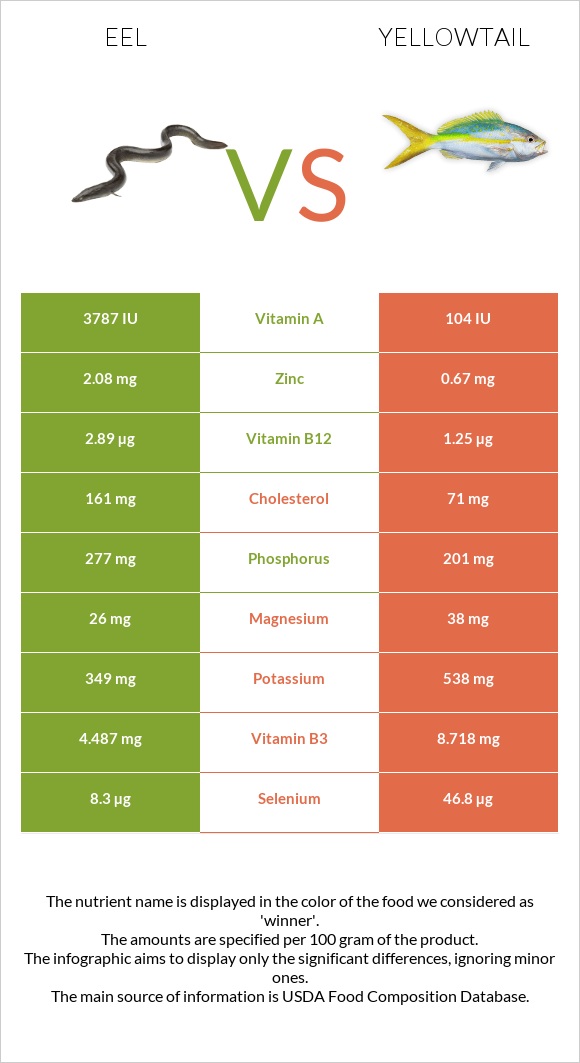 Eel vs Yellowtail infographic