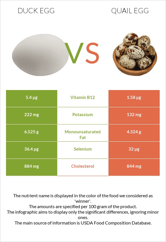 Duck egg vs Quail egg infographic