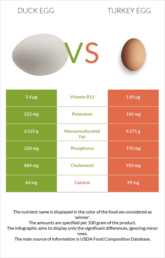 Duck egg vs Turkey egg infographic