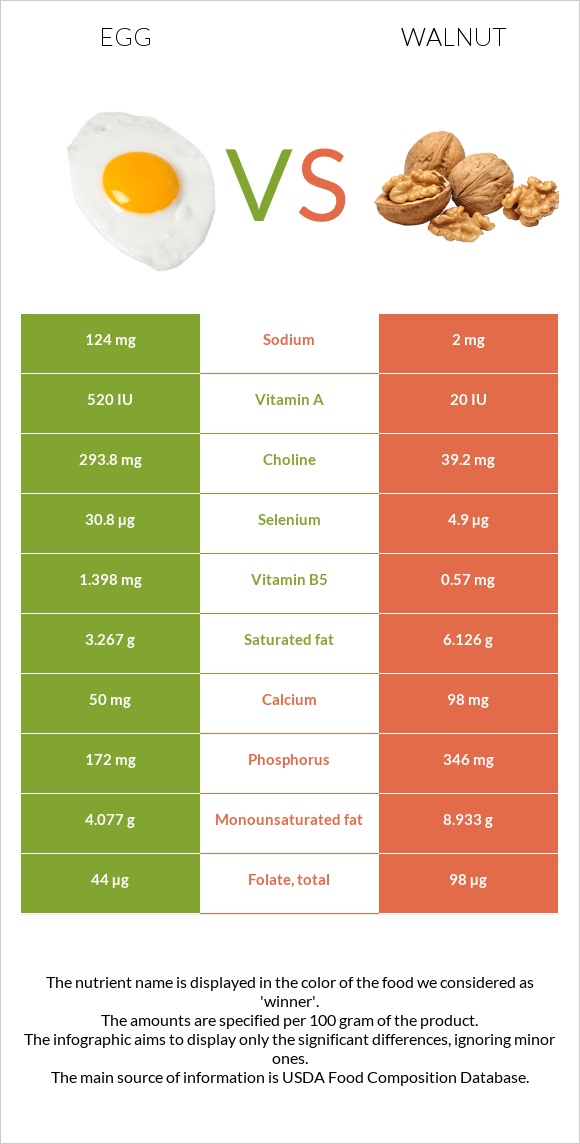 Egg vs Walnut infographic