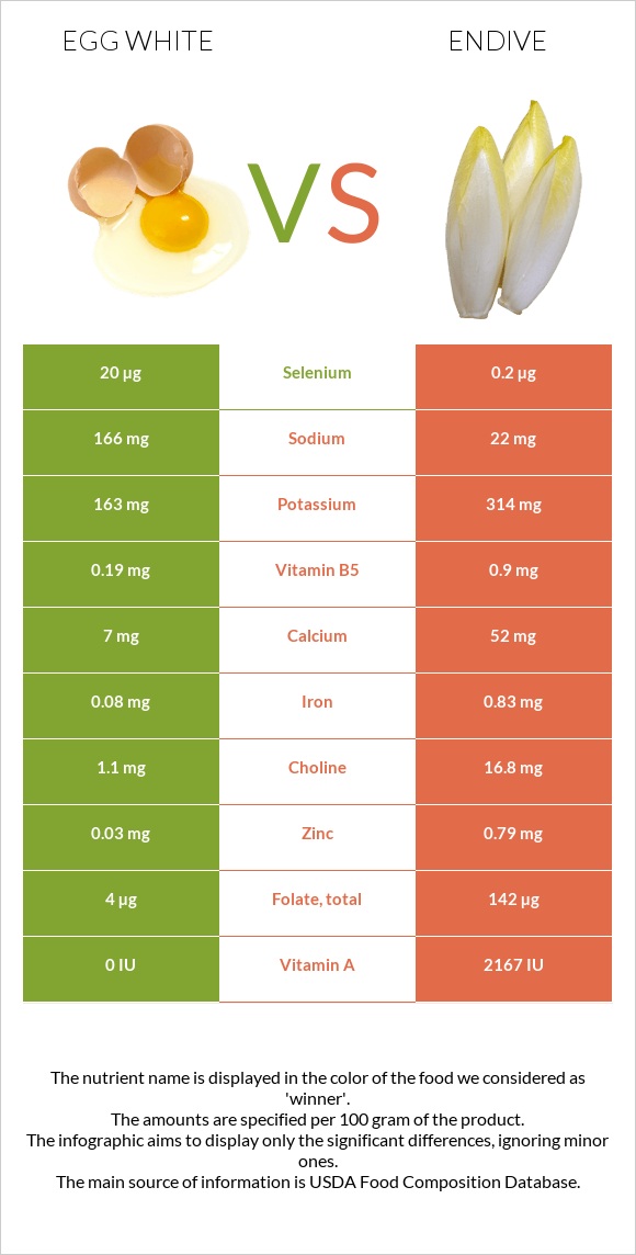 Ձվի սպիտակուց vs Endive infographic