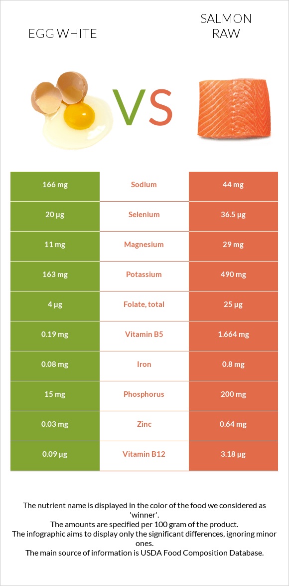 Ձվի սպիտակուց vs Սաղմոն հում infographic