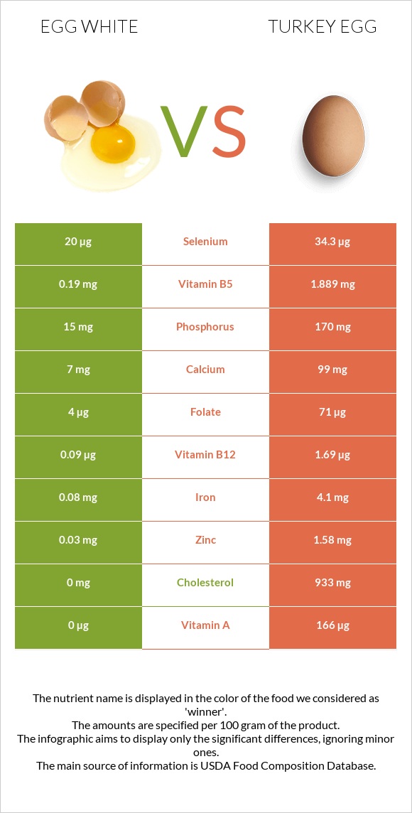 Ձվի սպիտակուց vs Հնդկահավի ձու infographic