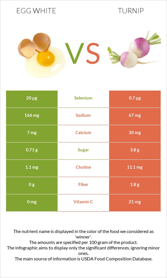 Ձվի սպիտակուց vs Շաղգամ infographic