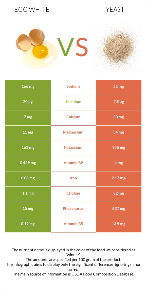 Ձվի սպիտակուց vs Խմորասնկեր infographic