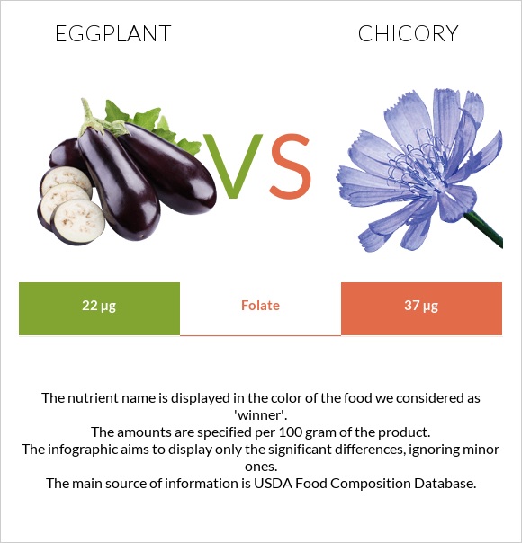 Eggplant vs Chicory infographic