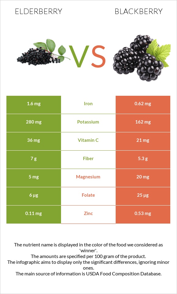 Elderberry vs Կումանիկա infographic